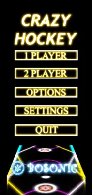 CRAZY HOCKEY android App screenshot 5